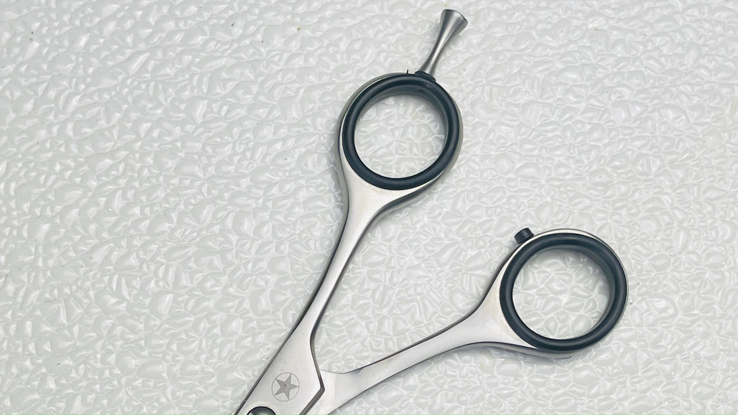 Tijeras de pelo básicas Sternsteiger de 5,5 pulgadas