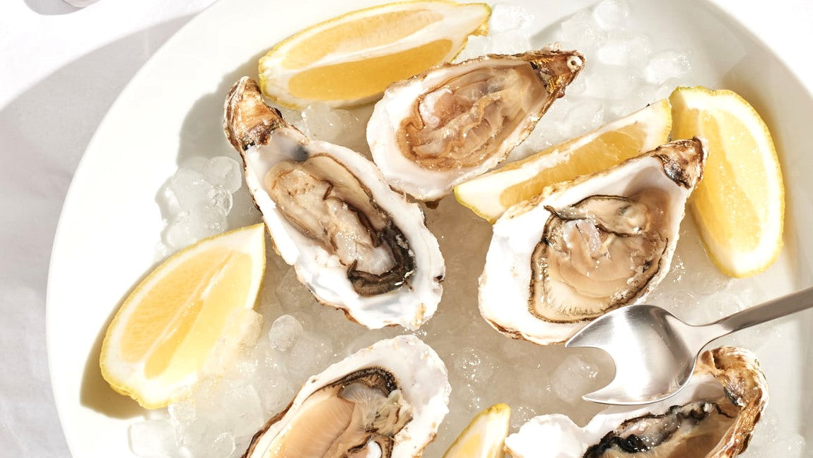 TRITURADORAS DE OSTRAS Sternsteiger