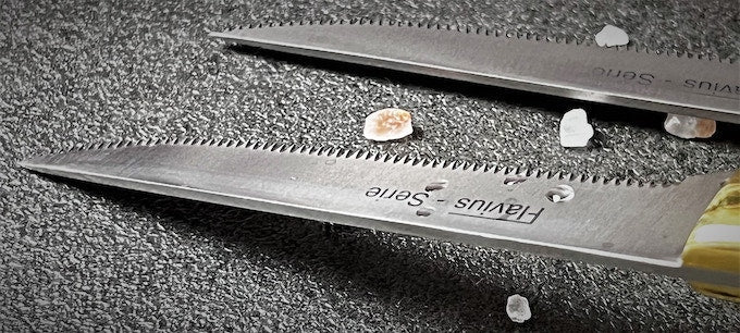 Flavius Steak Knives - Set of 12 pieces